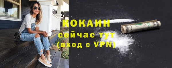 стаф Касимов
