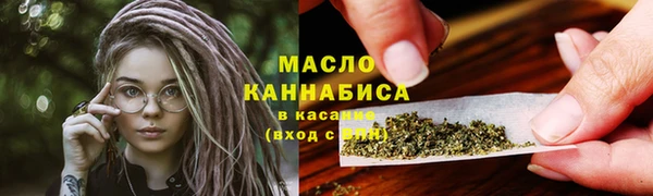 стаф Касимов