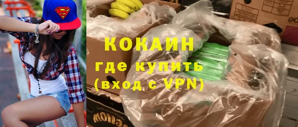 стаф Касимов
