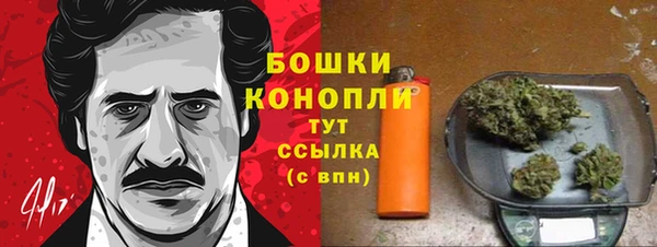 стаф Касимов