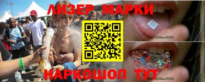 гидропоника Кингисепп