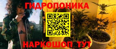 ГАЛЛЮЦИНОГЕННЫЕ ГРИБЫ Кинель
