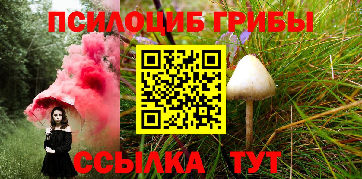 Псилоцибиновые грибы мухоморы  Вход с VPN  Кувандык 